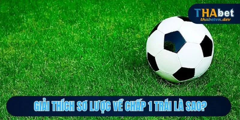 Chấp 1 Trái Là Sao? Giải Thích Rõ Ràng Hơn Cho Hội Viên 2 Khái quát sơ lược về loại kèo chấp 1 trái