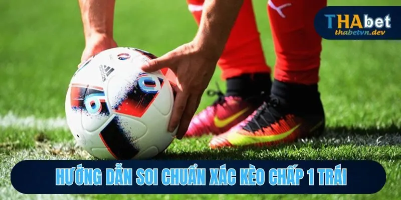 Chấp 1 Trái Là Sao? Giải Thích Rõ Ràng Hơn Cho Hội Viên 3 Phương pháp để soi chấp 1 trái là sao?