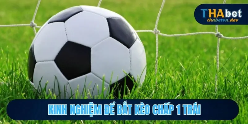 Chấp 1 Trái Là Sao? Giải Thích Rõ Ràng Hơn Cho Hội Viên 4 Kinh nghiệm để bắt kèo chấp 1 trái sao cho hợp lý